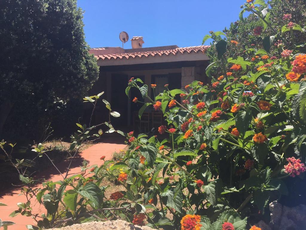 Residence Baia Santa Reparata سانتا تيريزا غالّورا المظهر الخارجي الصورة